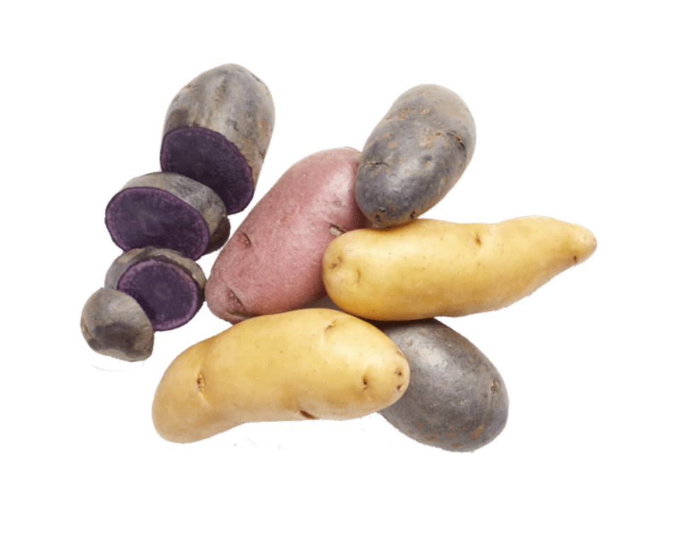 image of a Fingerling potato