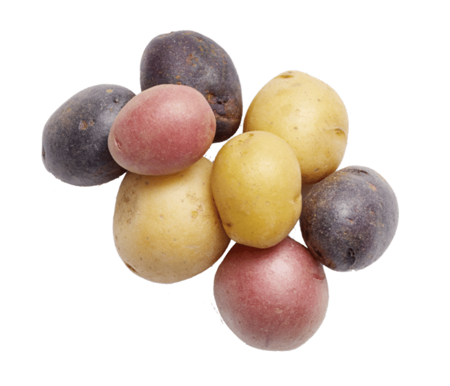 image of a Petite potato