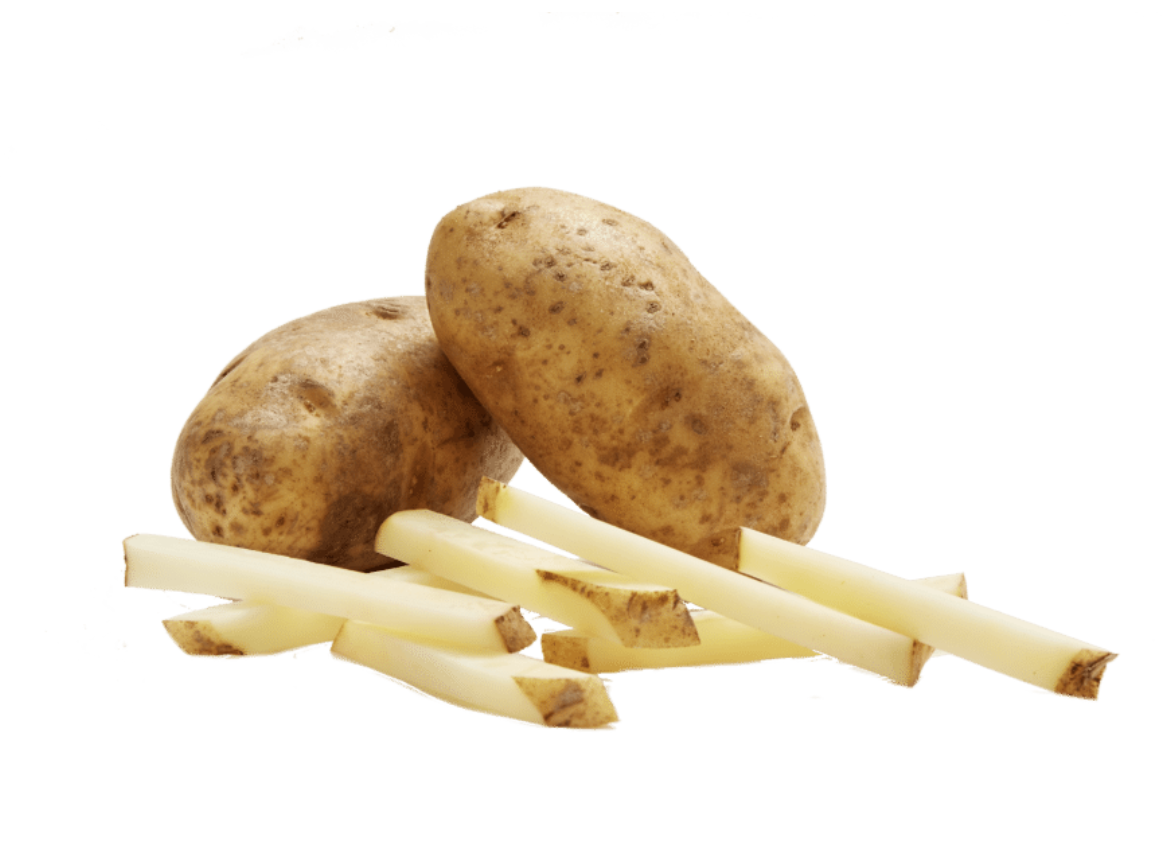 image of a Russet potato