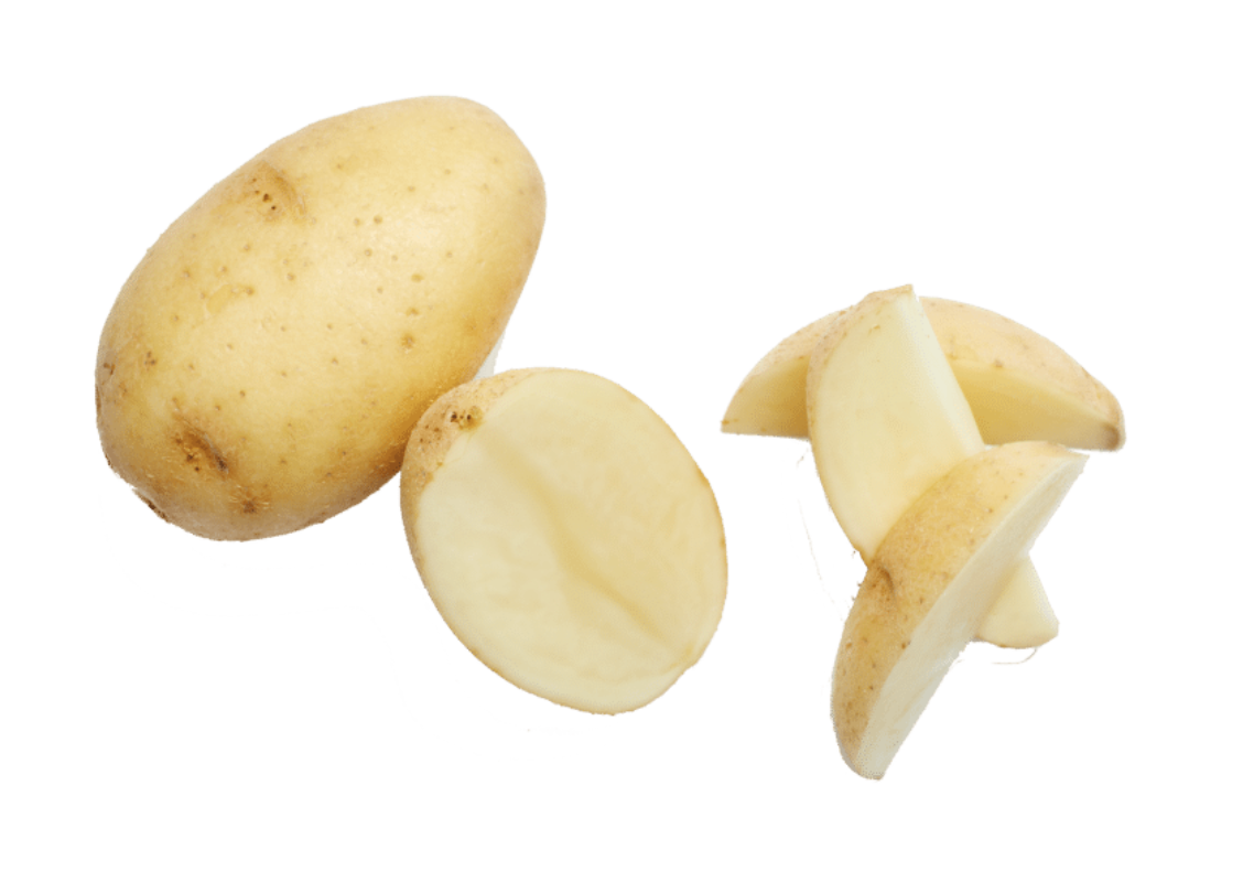 image of a White potato